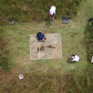 Burnt and shorn Dryland rug captures consequences of drought in the Netherlands