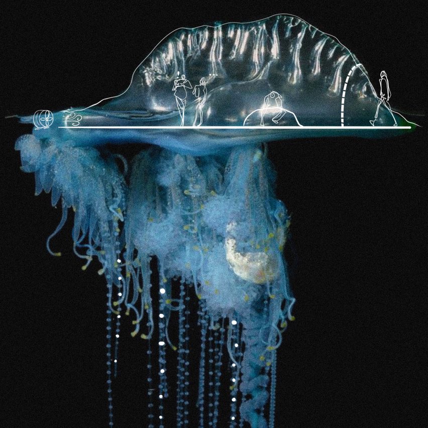 Futuristic jellyfish-looking visualisation on black background