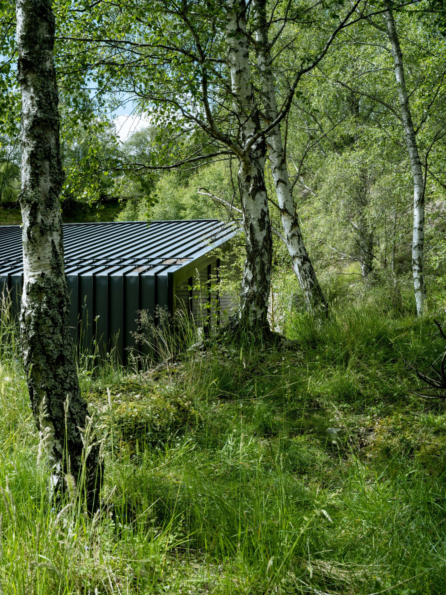 Office in former quarry surrounded by woodland