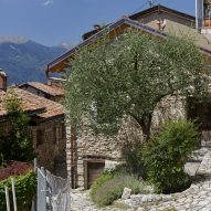 Olive tree in front of facade of Rustic Renovation by Enrico Sassi