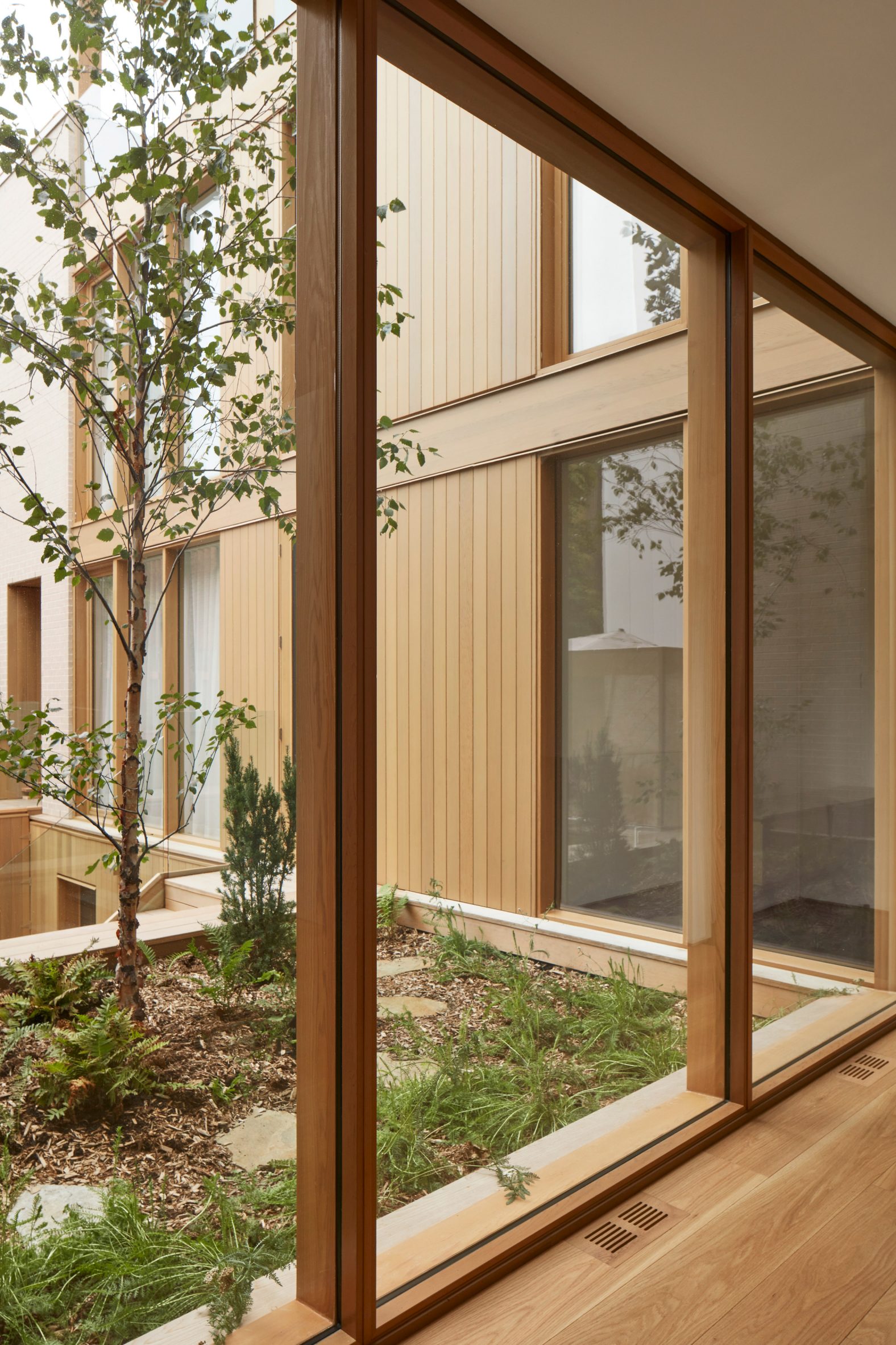 maison de ville nordique jardin urbain toiture végétale cour intérieure arbre bouleau · Pierre Thibault Architecte