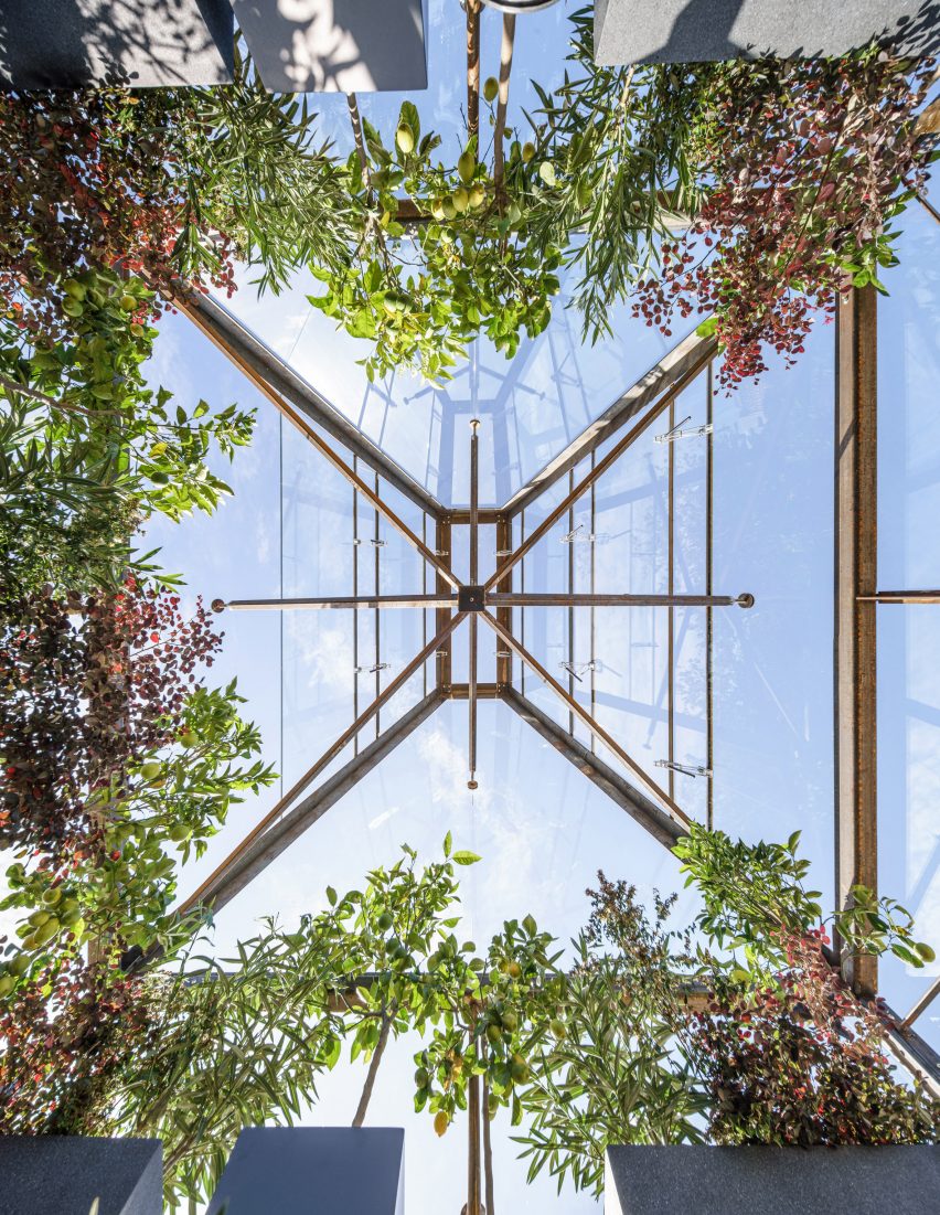 View of glass roof in triangular greenhouse