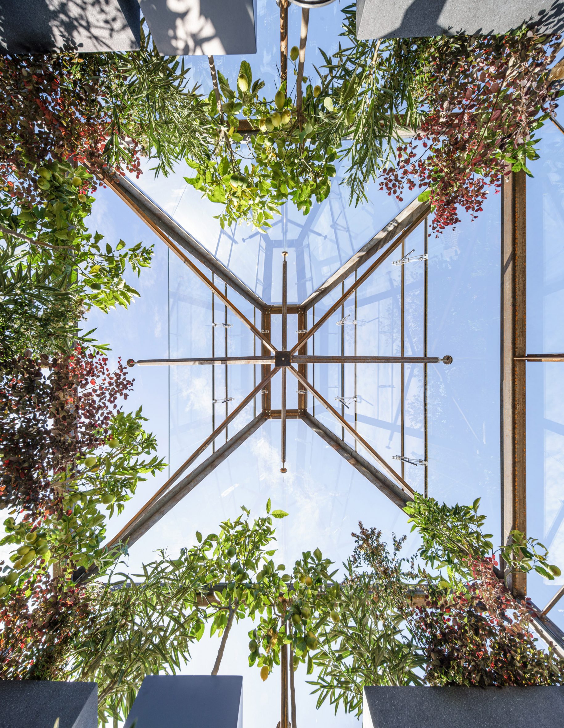 View of glass roof in triangular greenhouse