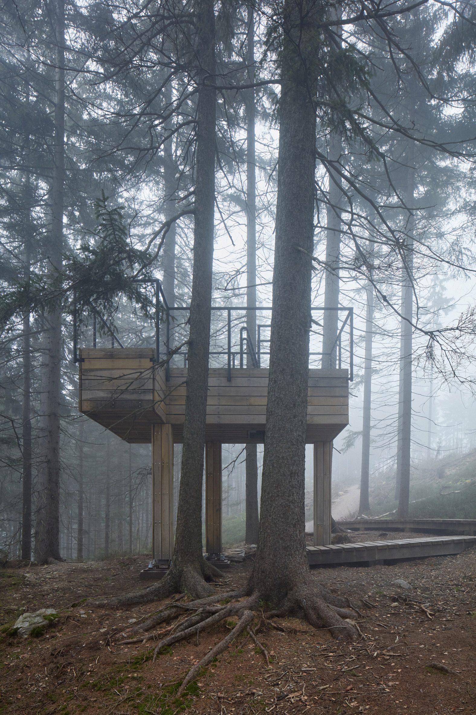 Wooden platform in a misty forest by Mjölk Architekti 