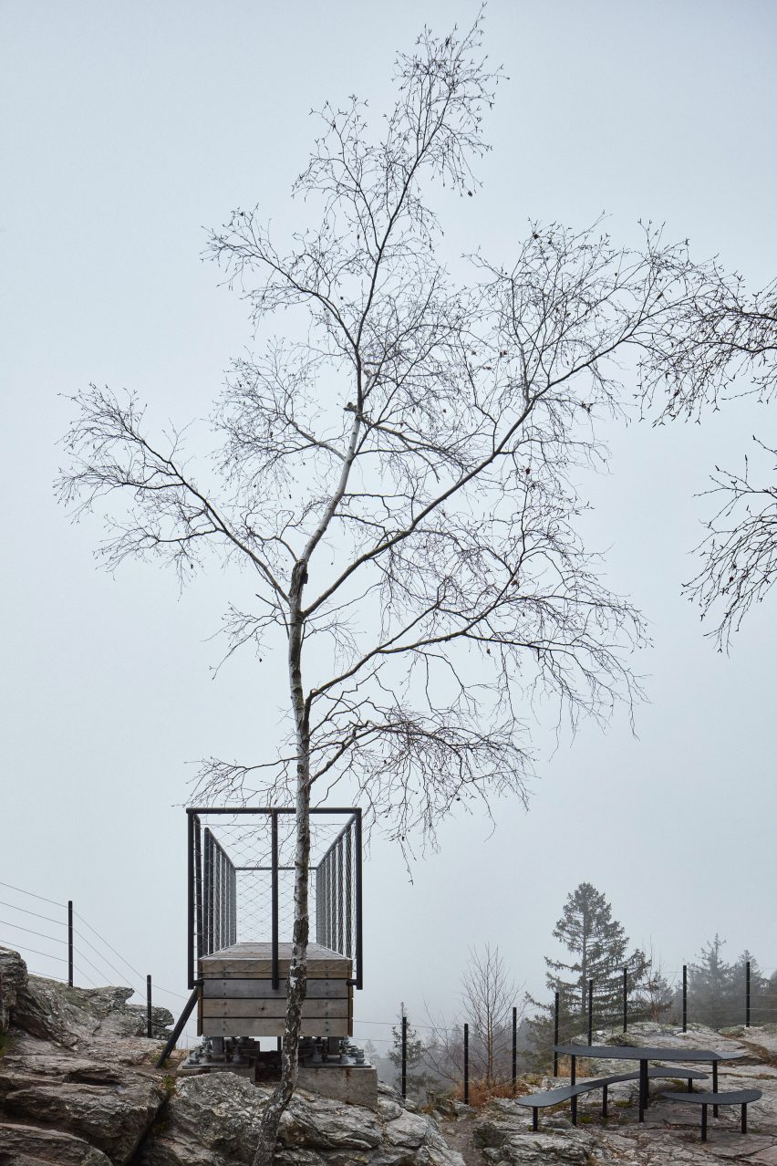 Point de vue de Mjölk Architekti devant un arbre