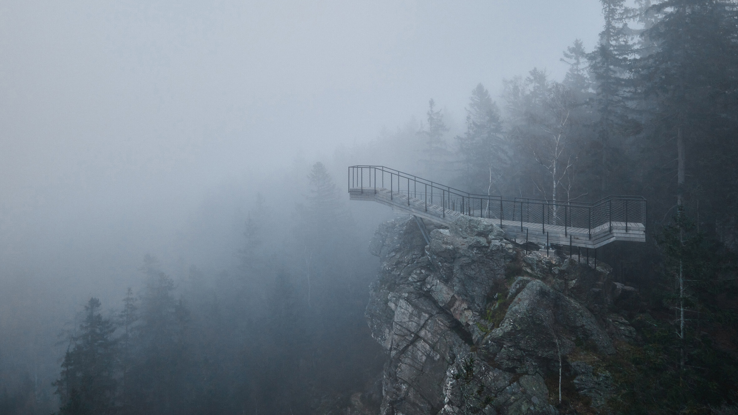 Mjölk Architekti creates animal-like viewpoints for Czech mountain - Vimarsana News
