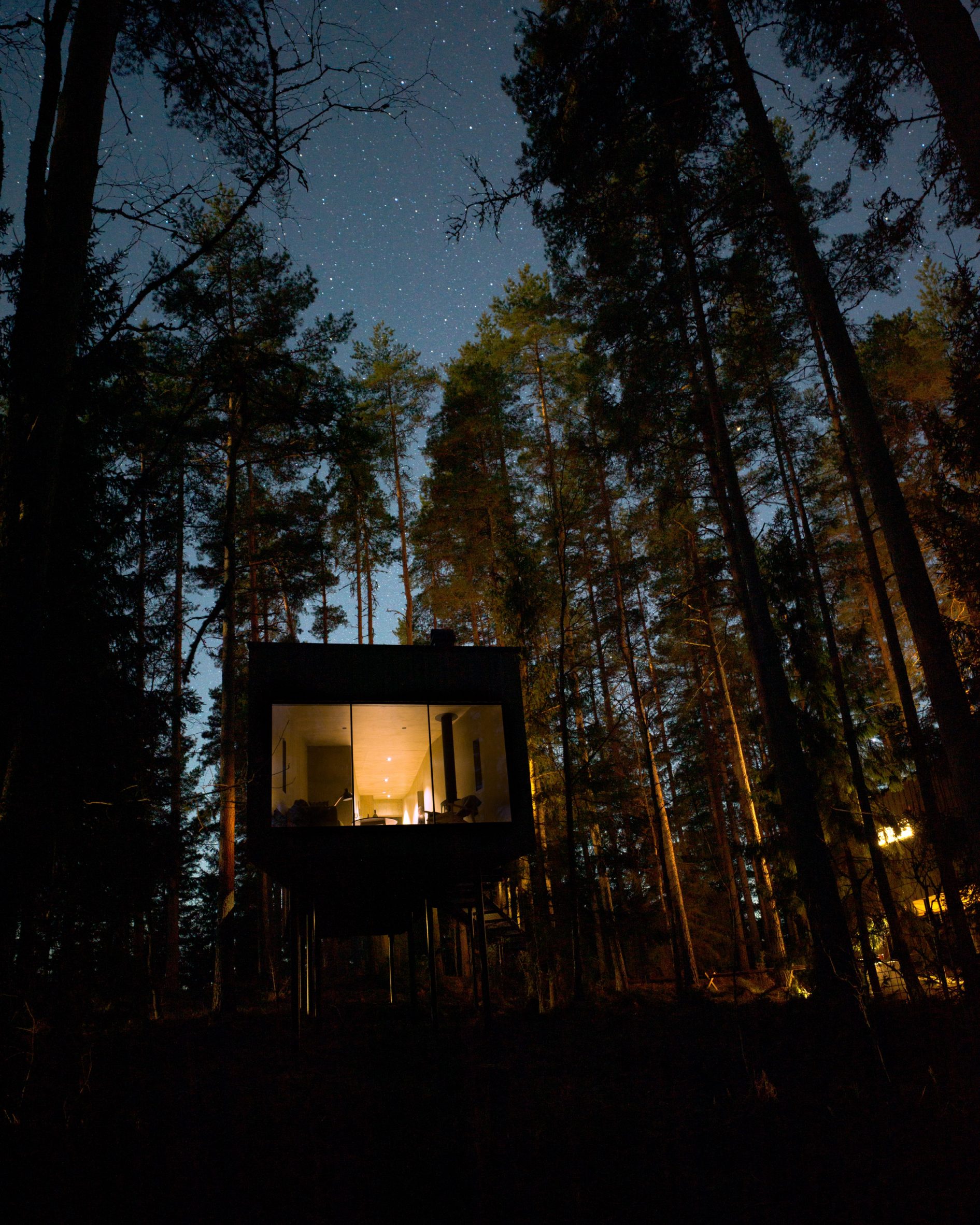 Wingårdhs perches Trakt Forest Hotel suites on steel stilts