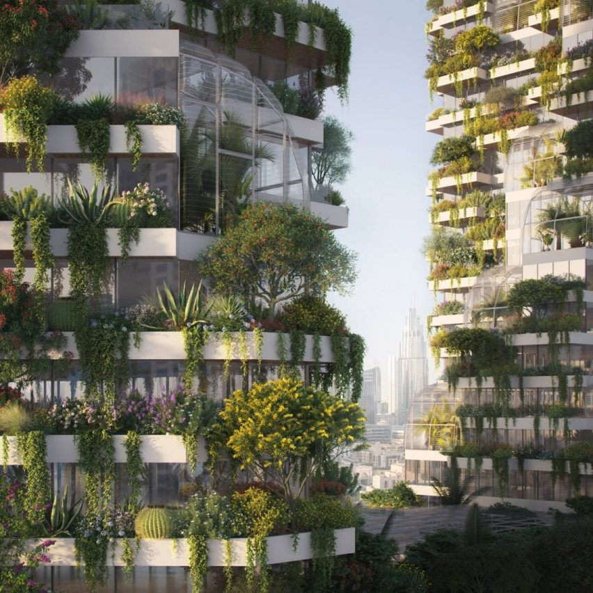 Dubai towers with trees and trailing vines