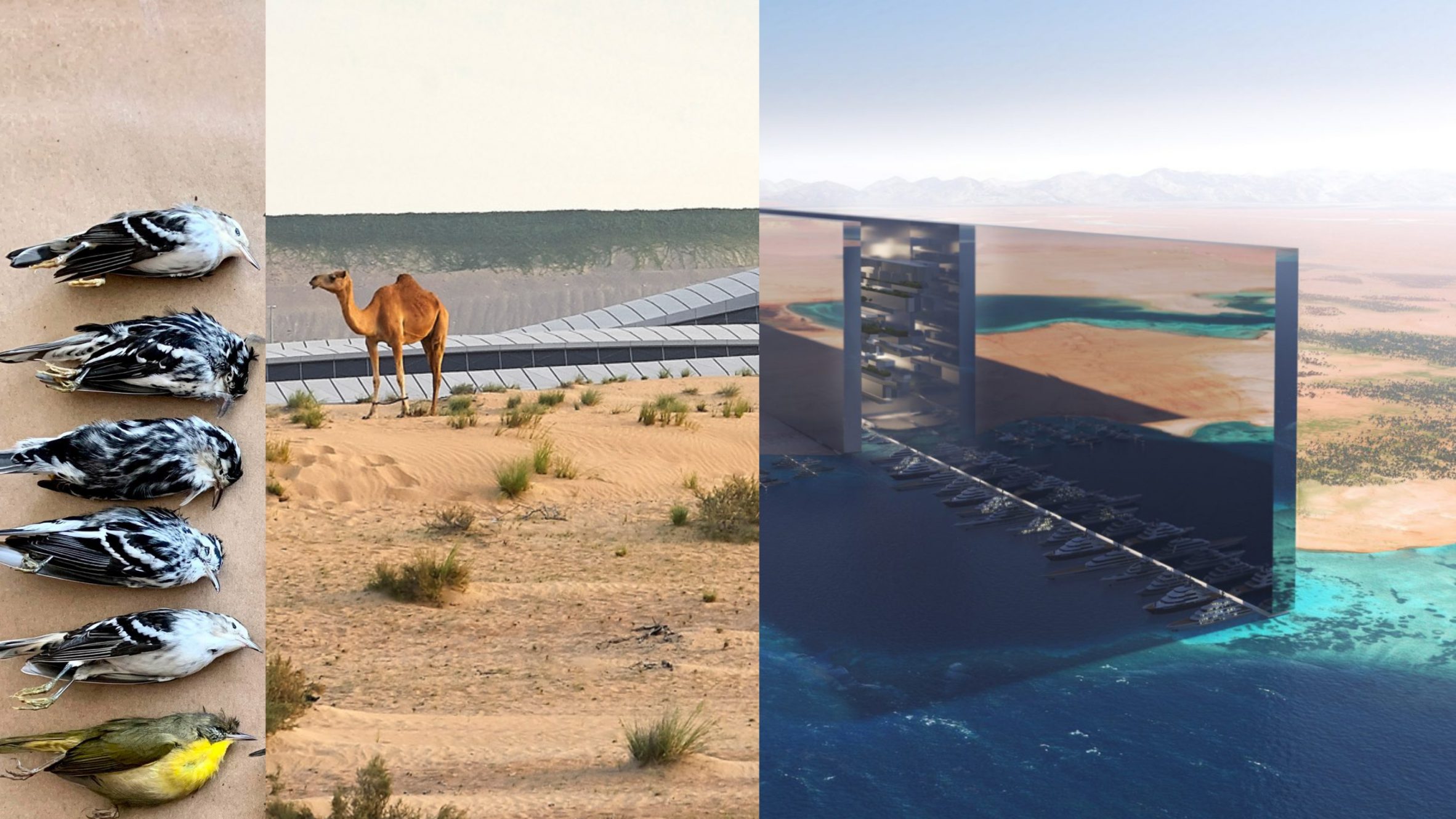 Dezeen commenters of the year 2022 - Vimarsana News