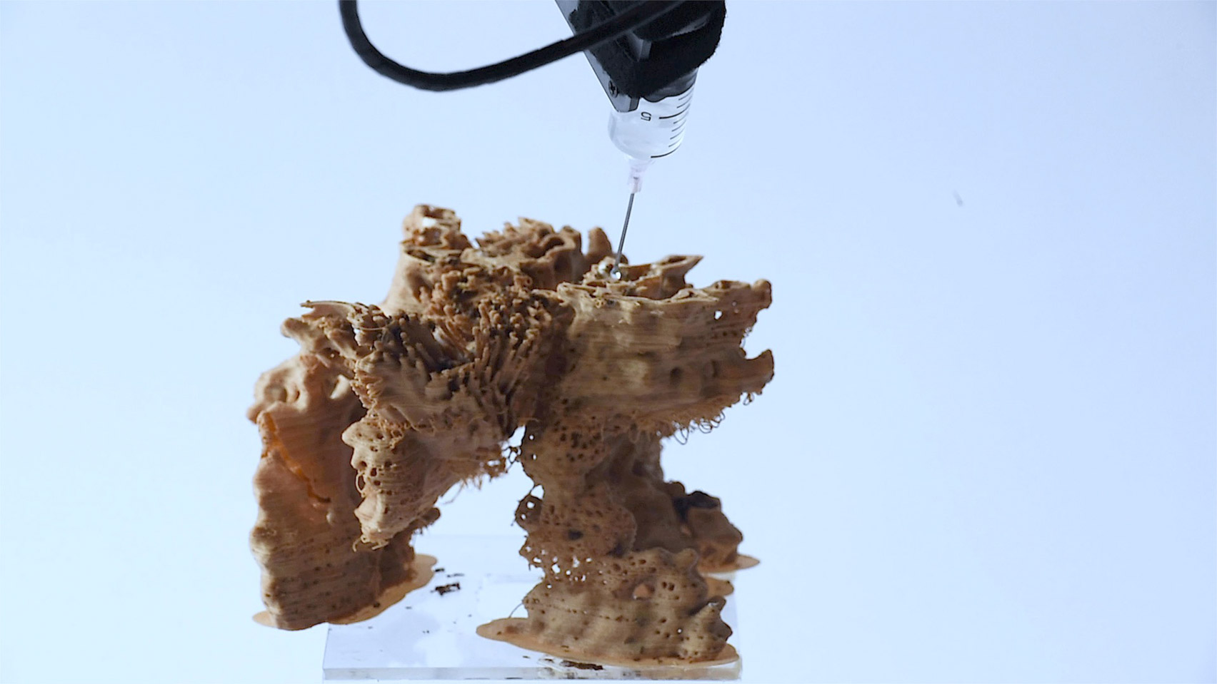 Robot arm moisturising mycelium on wooden sculpture