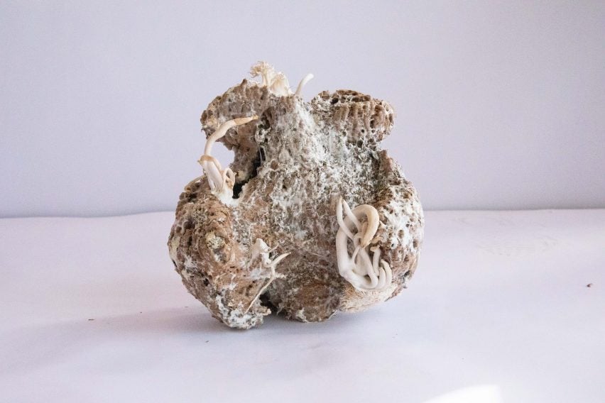 Mycelium growing from 3D-printed wood object