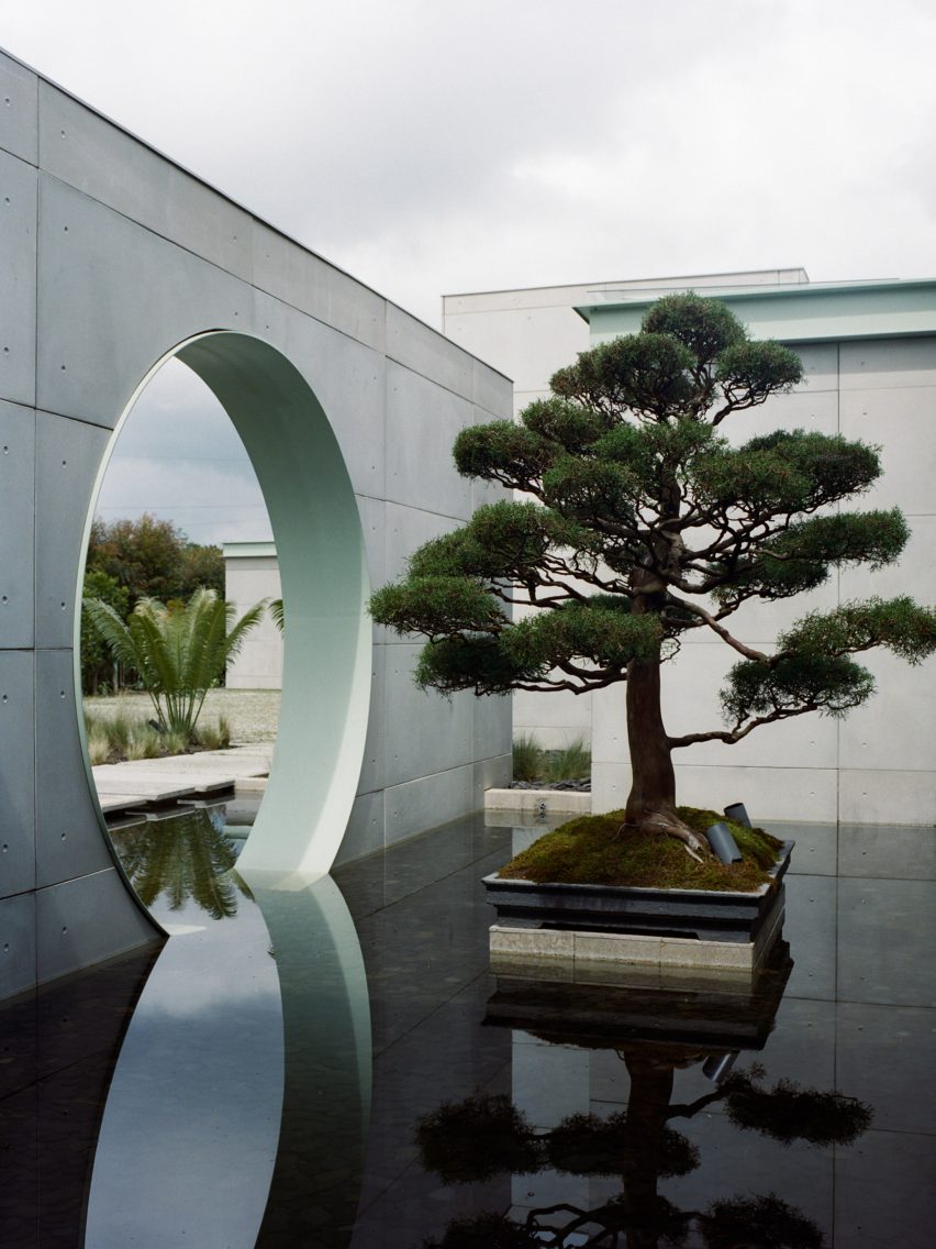 Bonsai tree in reflecting pool with sculptural concrete wall