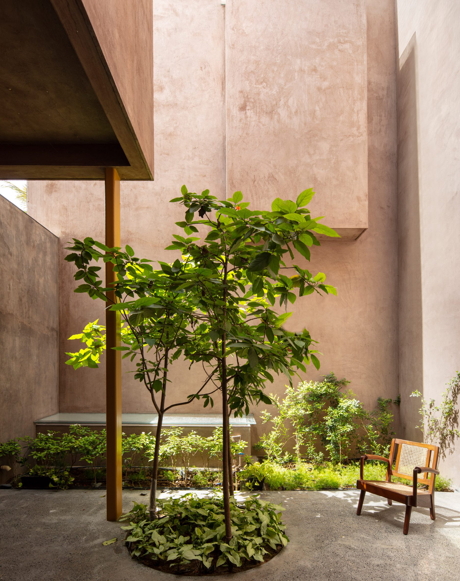 Image of a courtyard at Cool House