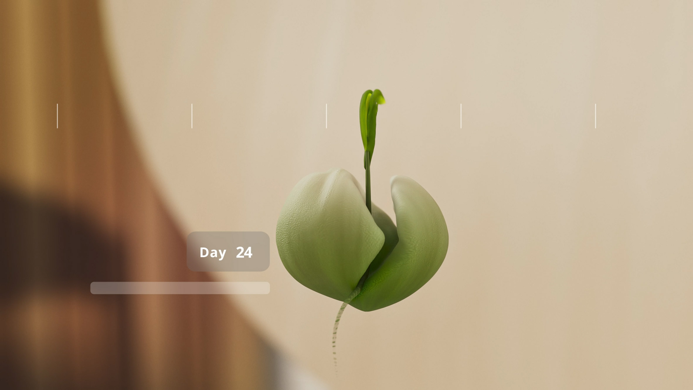 Visualisation of a seed sprouting with text reading 'day 24'
