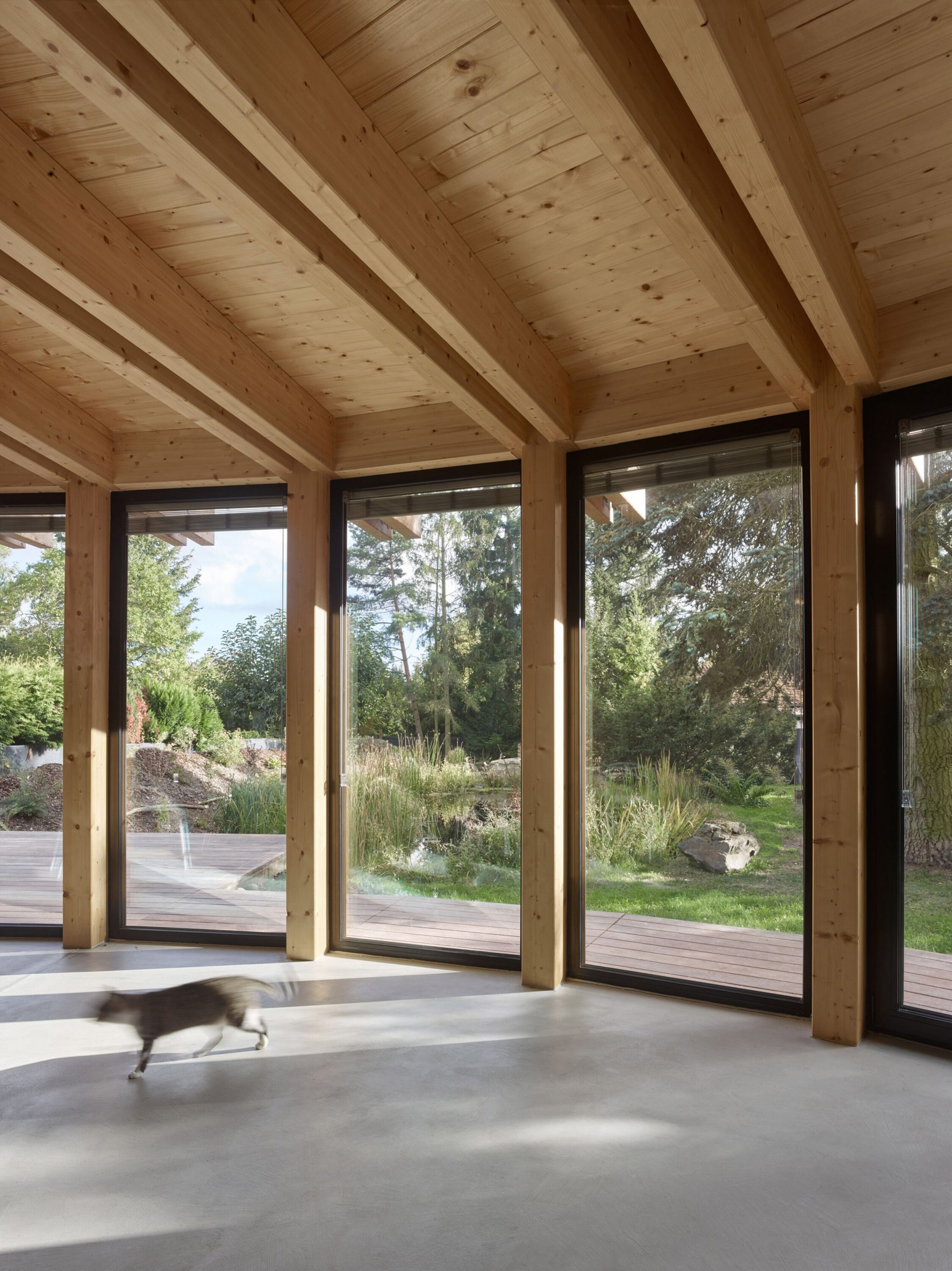 Interior image of the curving windows at House that Opens up to the Sun