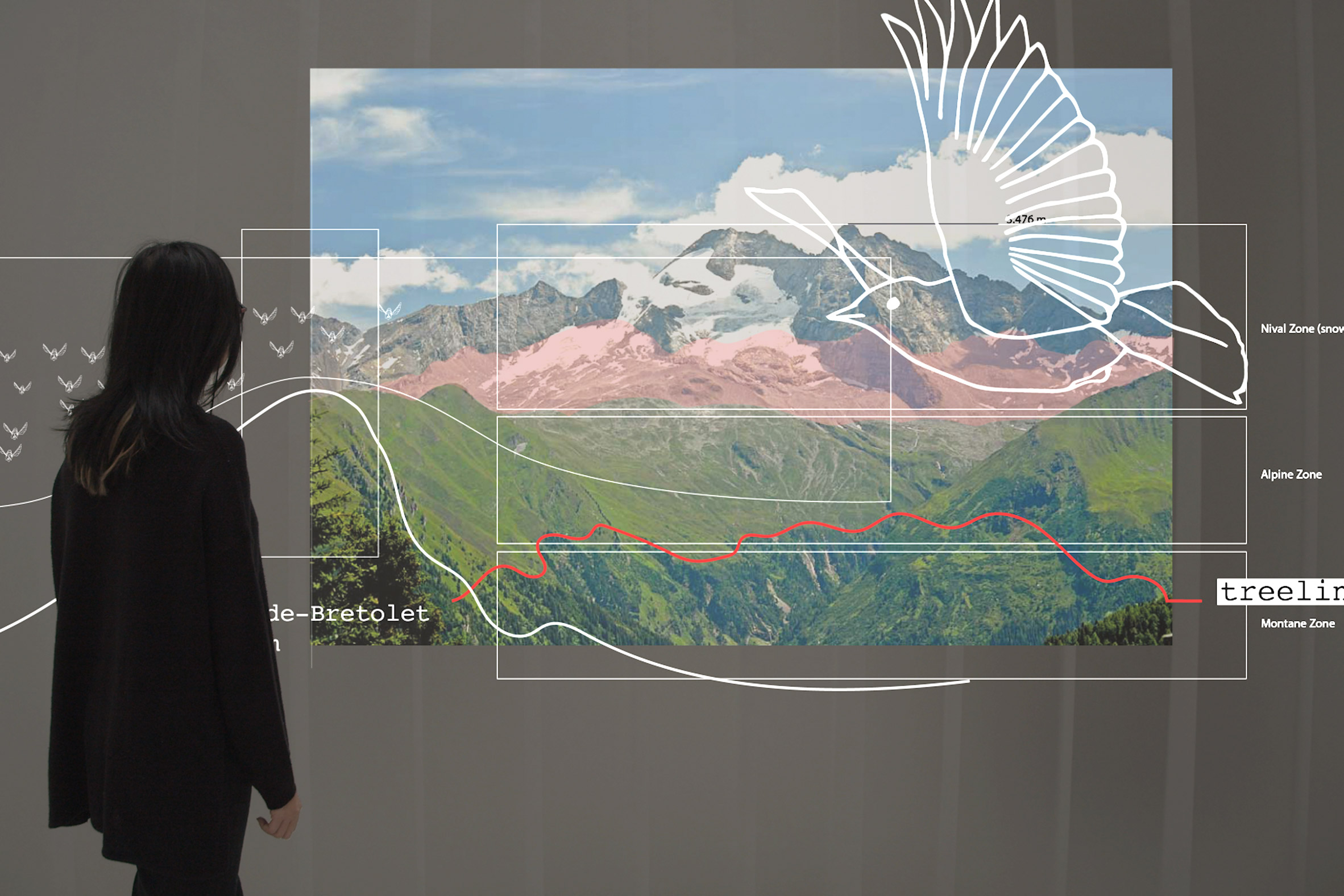 Visualisation of person looking at a photograph of a mountain with bird drawing overlaid