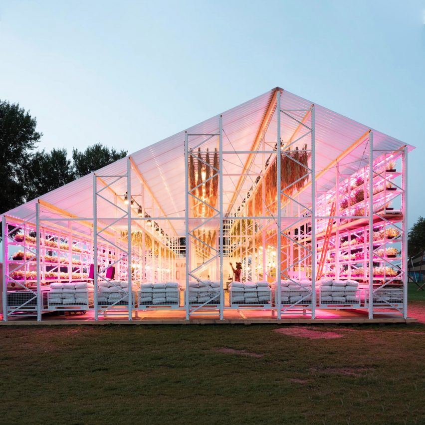 Transparent greenhouse lit up with pink and orange lights