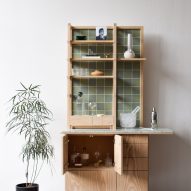 Photograph of cabinet with open cupboard and cannabis plant beside it