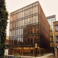 Waugh Thistleton Architects designs "visibly sustainable" mass-timber office in London