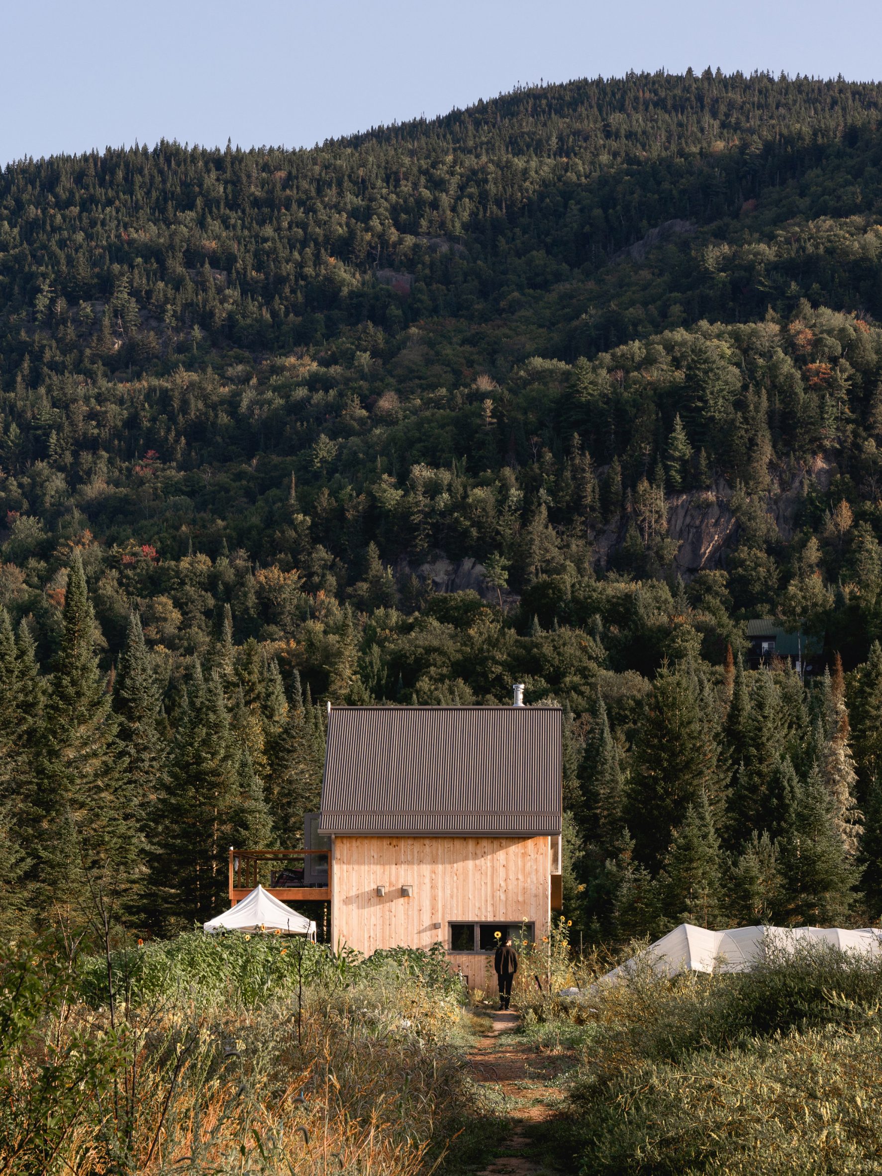 A barn in a forest landscape with timber-clad walls and charcoal roof