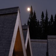 Tops of steep-pitched roofs in a forest at dusk