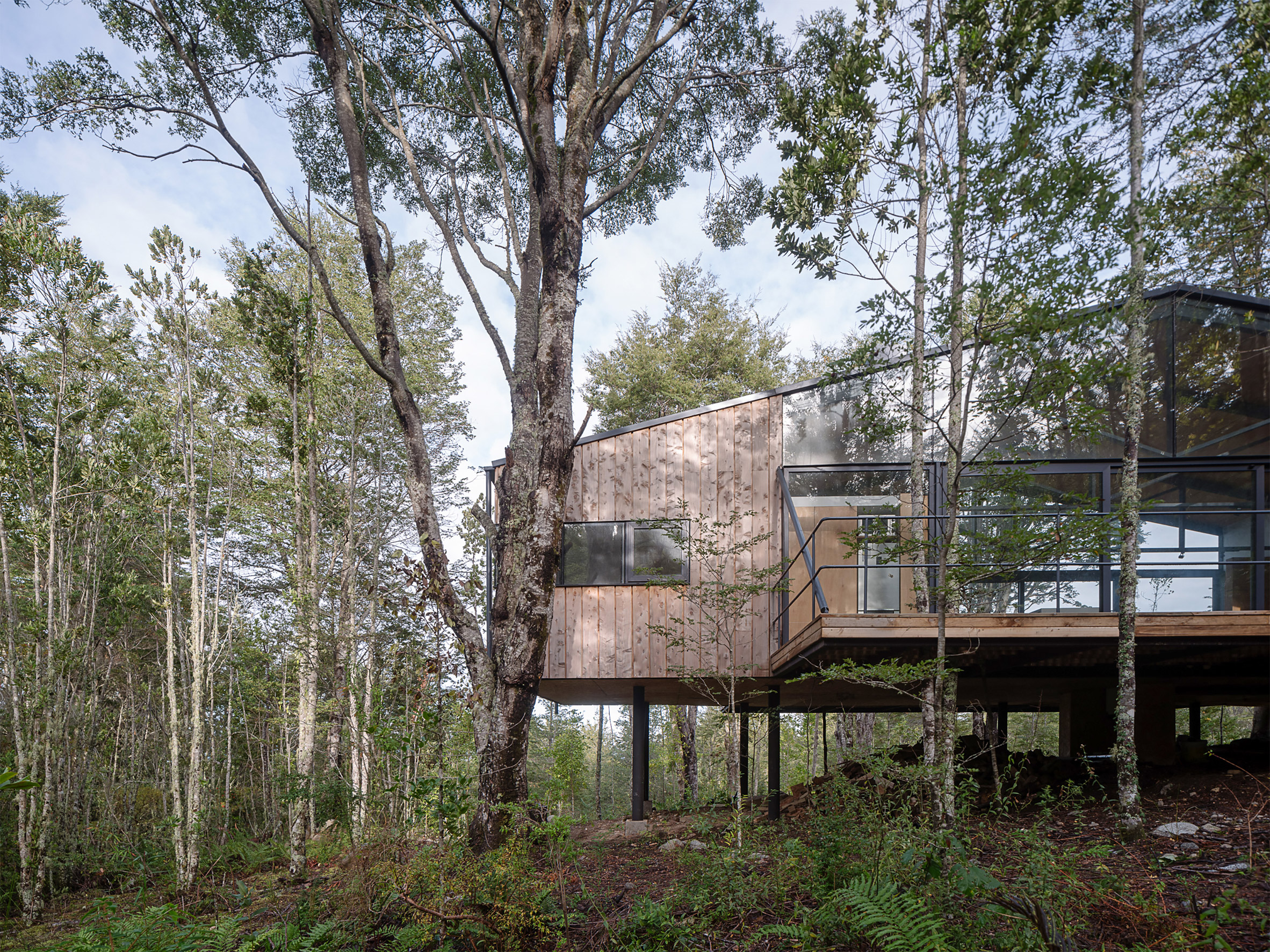 Exterior of Quilanto House in a forest by Hebra Arquitectos