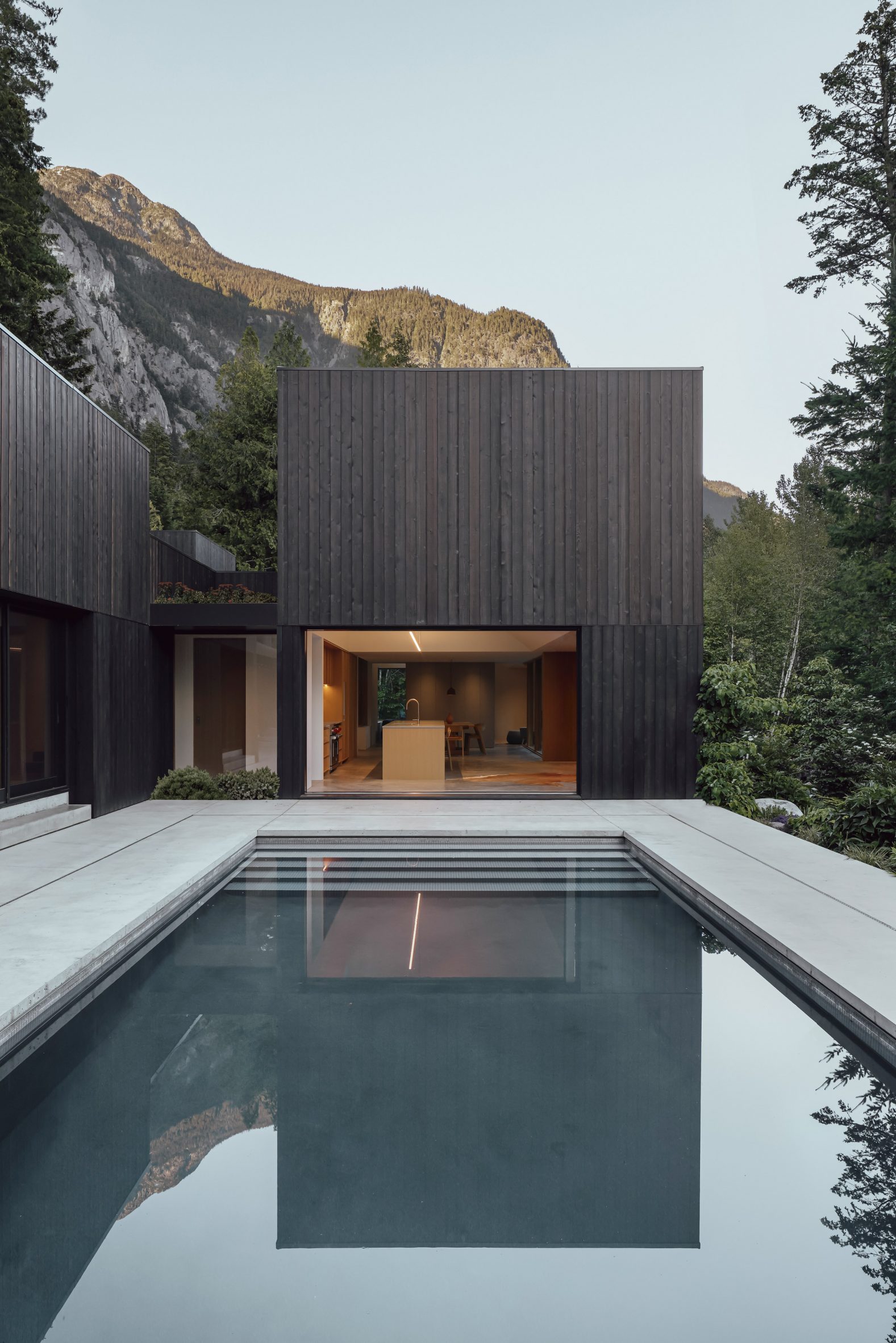 Swimming pool at timber-clad Camera House by Leckie Studio