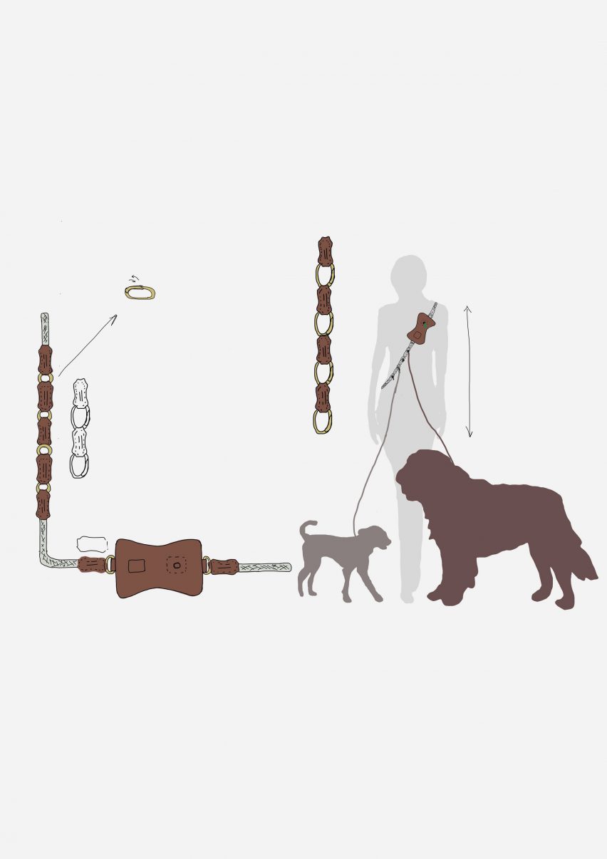 2D visualisation of person walking two dogs via harness