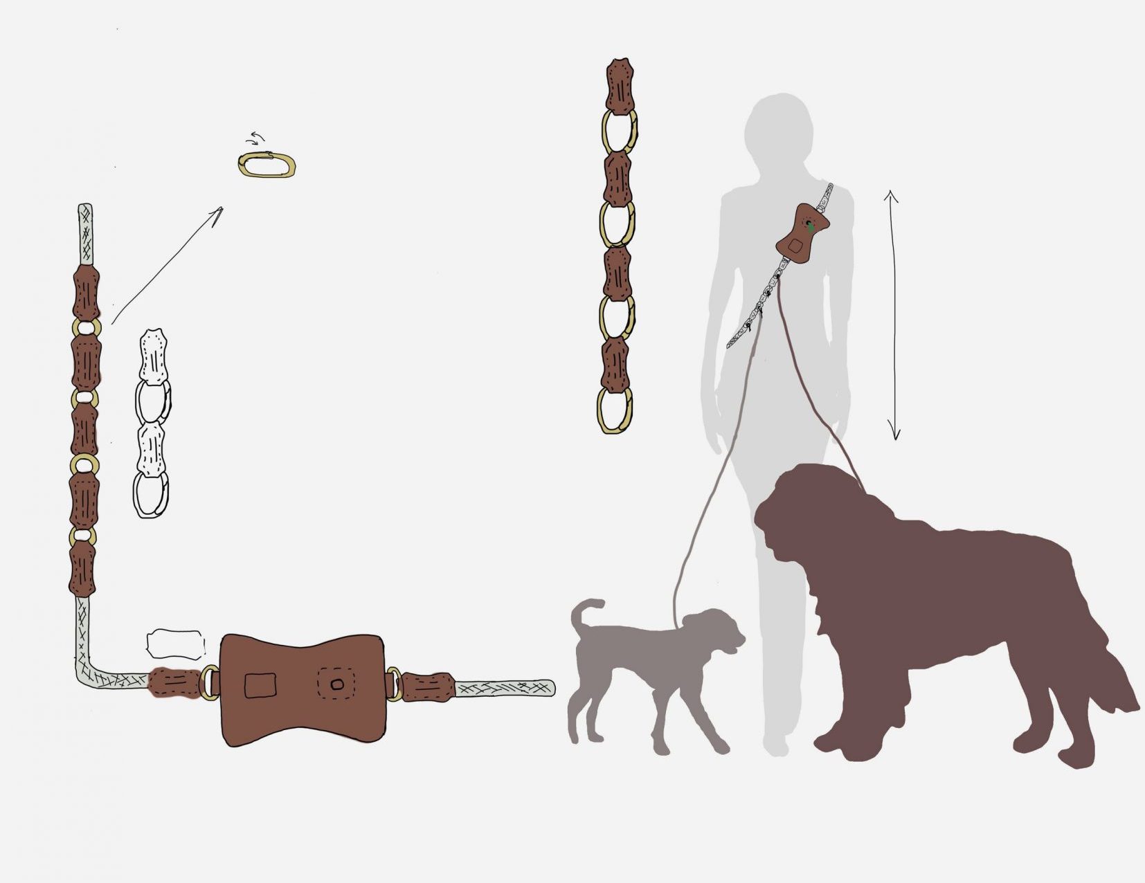 2D visualisation of person walking two dogs via harness
