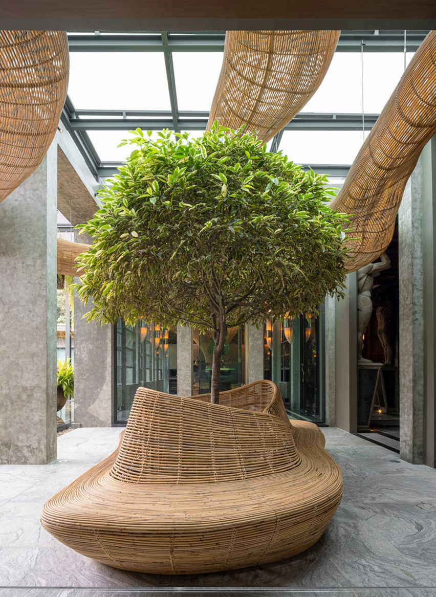 Meandering rattan structure around a courtyard tree