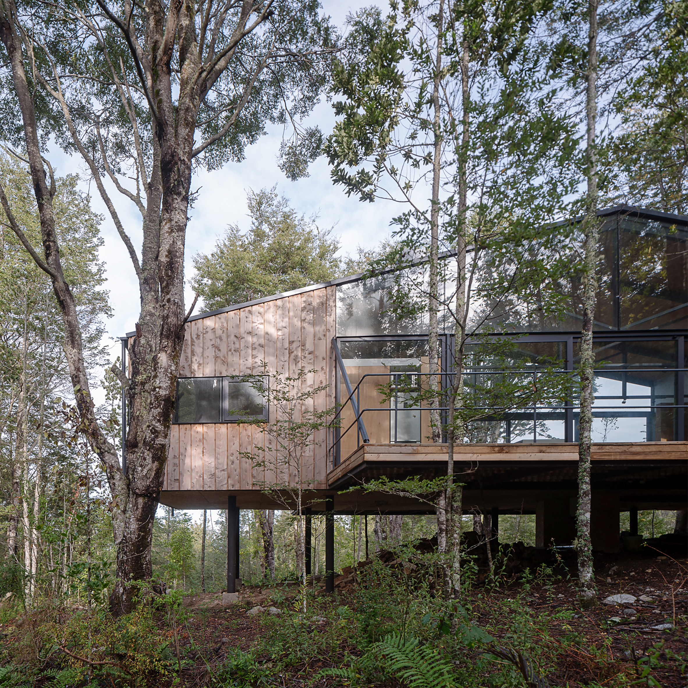 A horizontal cabin in the trees