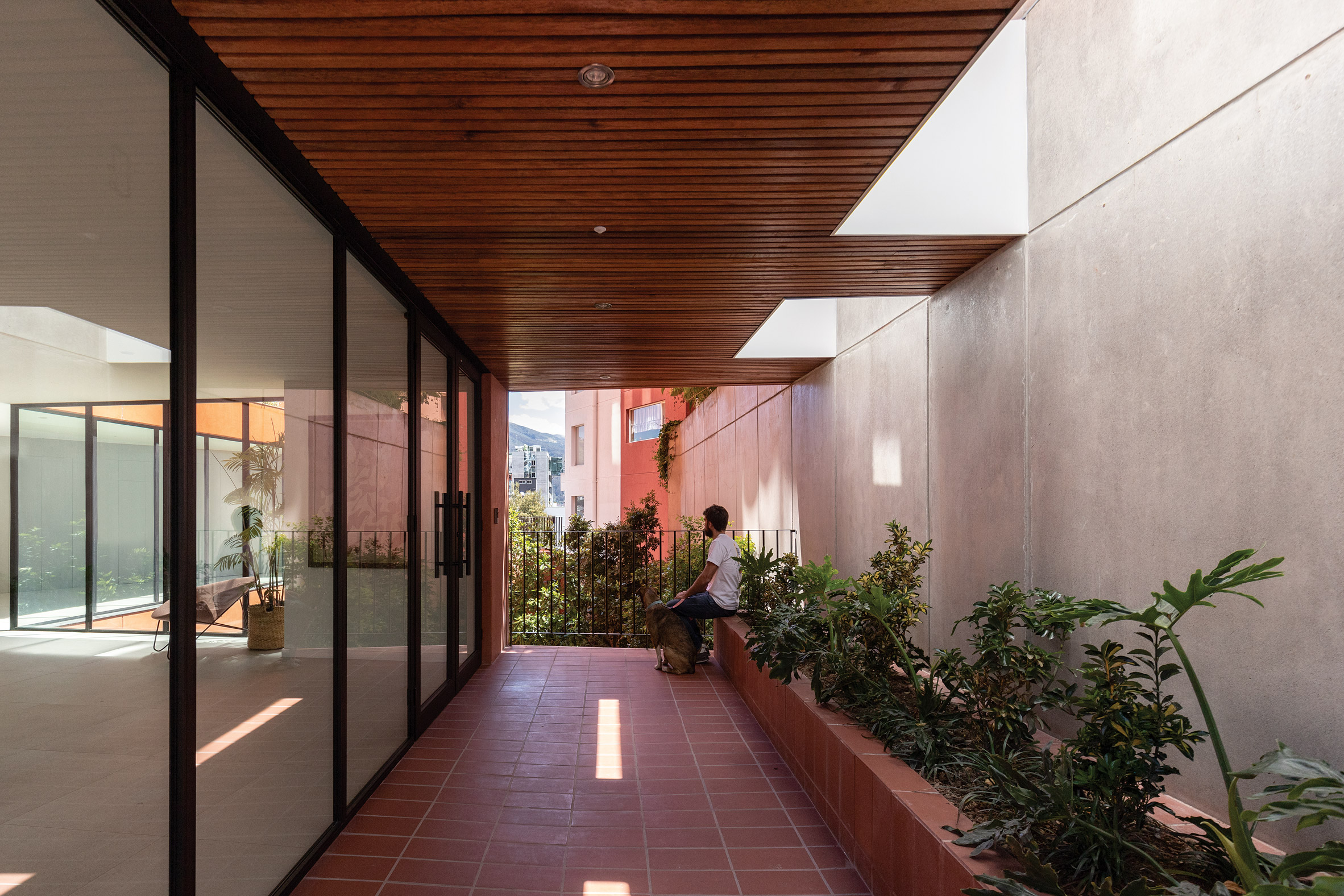 Open-air space with native plants within Olvia building by Urlo Studio