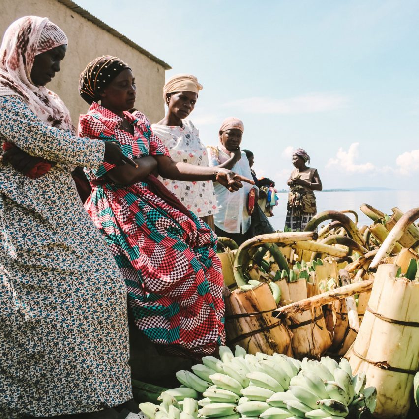 Women in Uganda look at harvested bananas