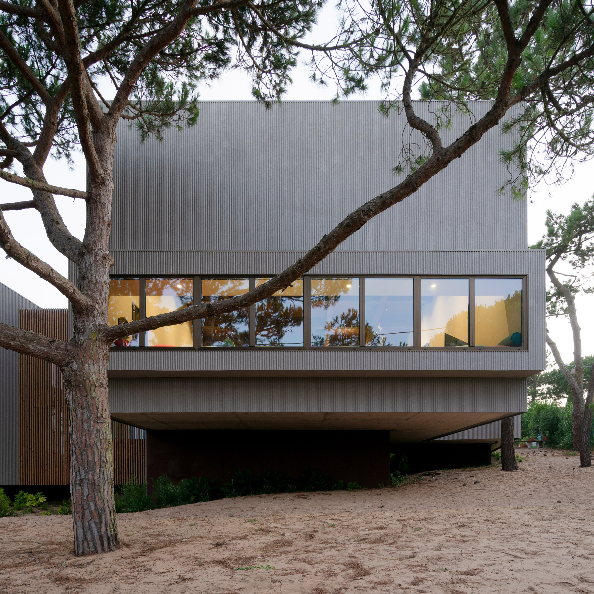 Photograph of a house exterior in front of a pine tree by Atelier Data