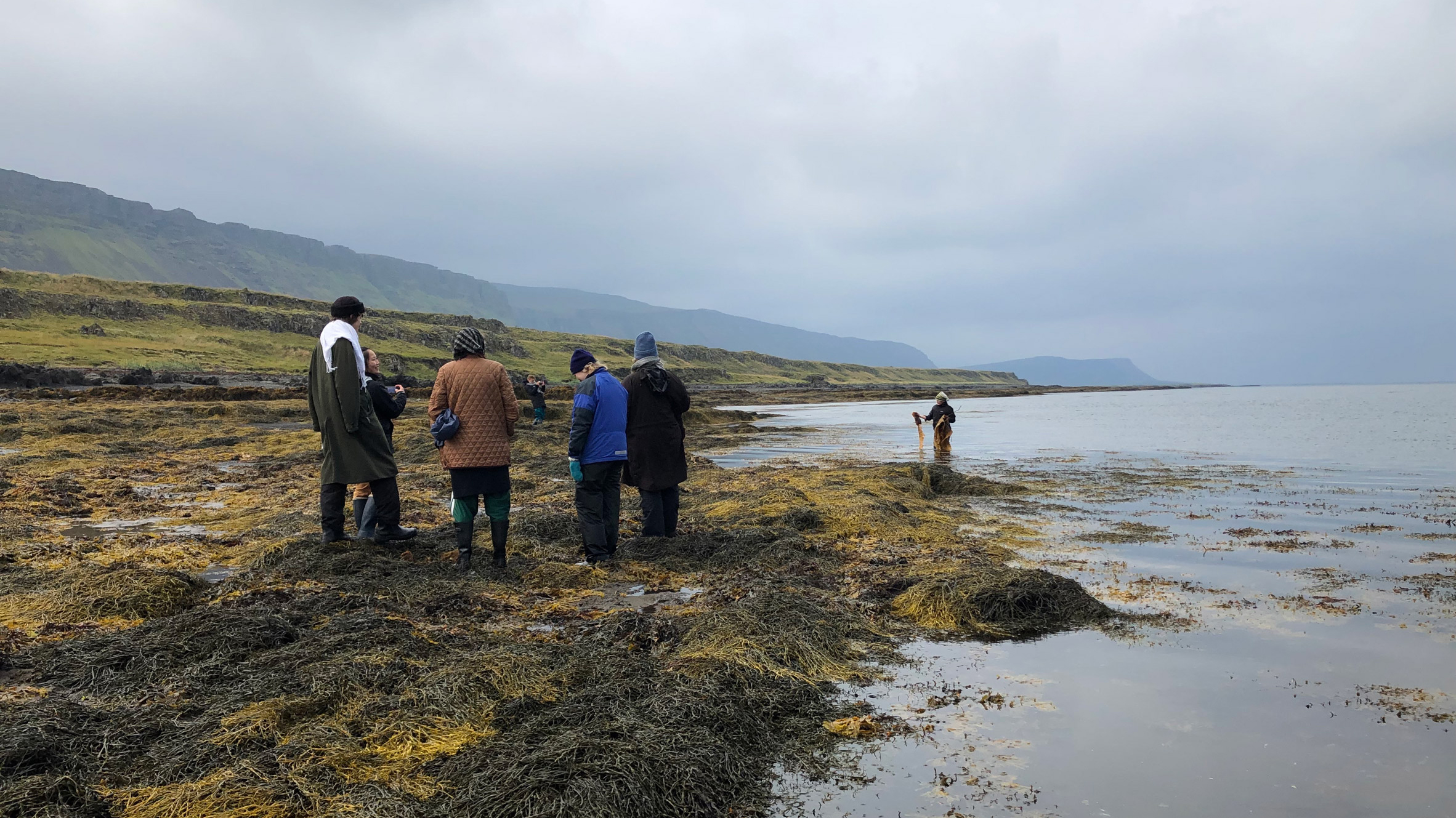 Estonian Academy of Arts presents group project focused on algae - Vimarsana News