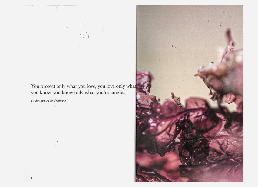 Photocopy scan of book pages with image of pink algae on right hand side