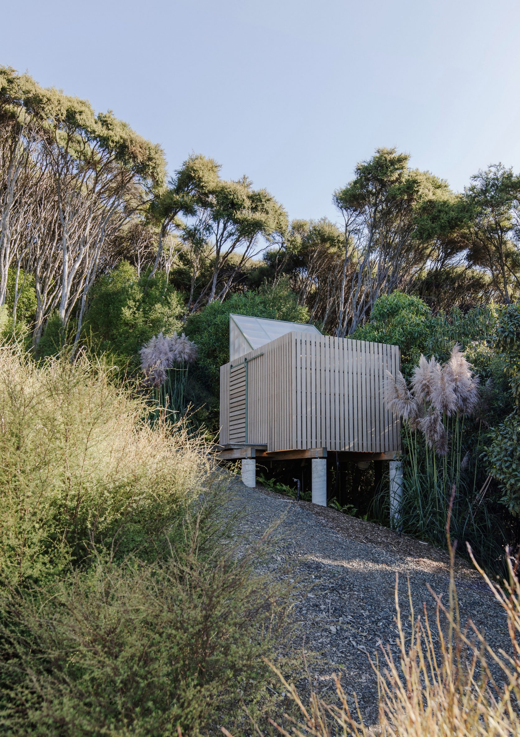 Shed covered in timber slats raised on concrete pilotis on a slope in the New Zealand bush