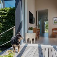 Interior living space that opens onto outdoor timber decking with a dog