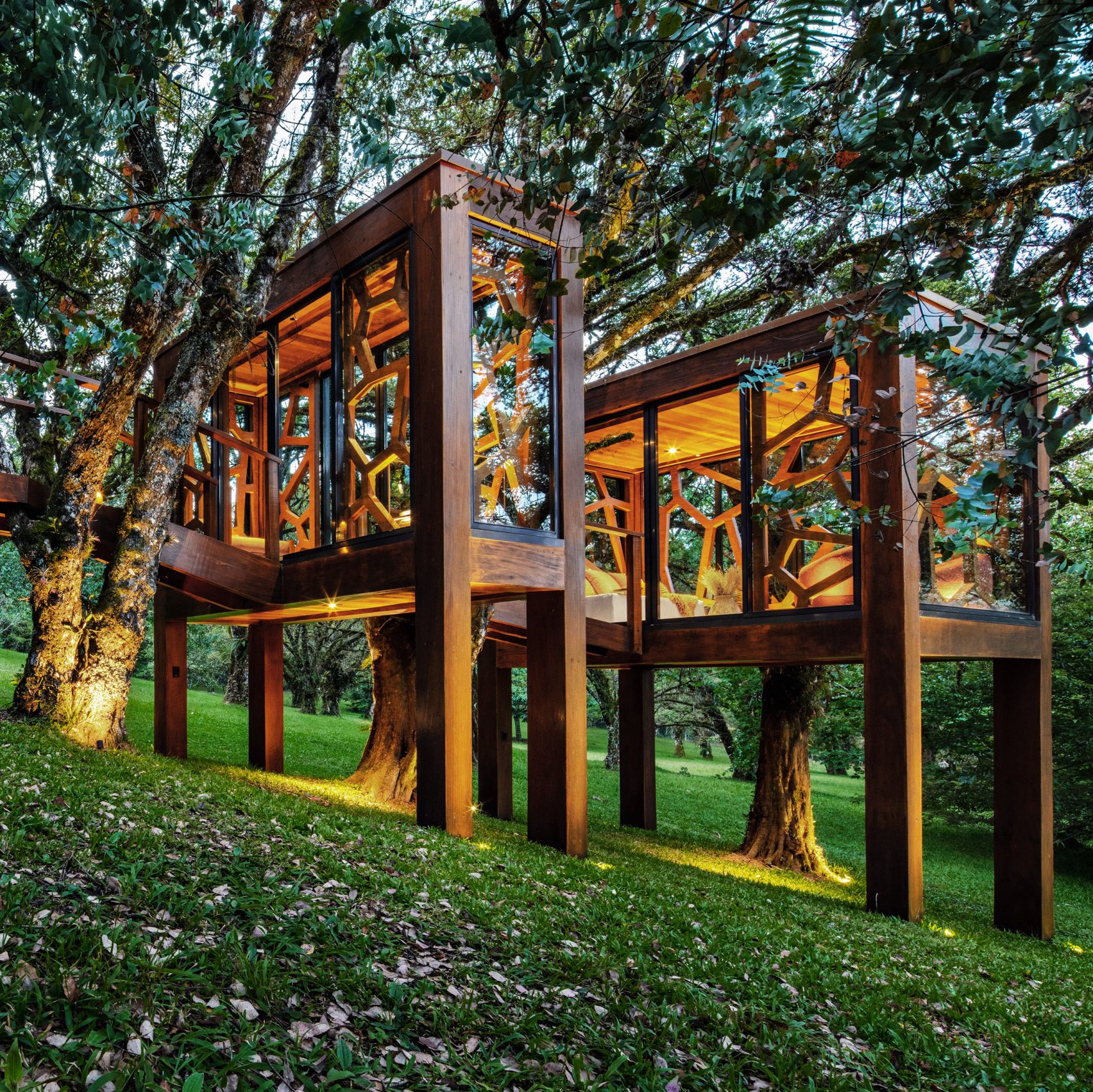 Studio MEMM creates Tree House in Brazil to bring out 