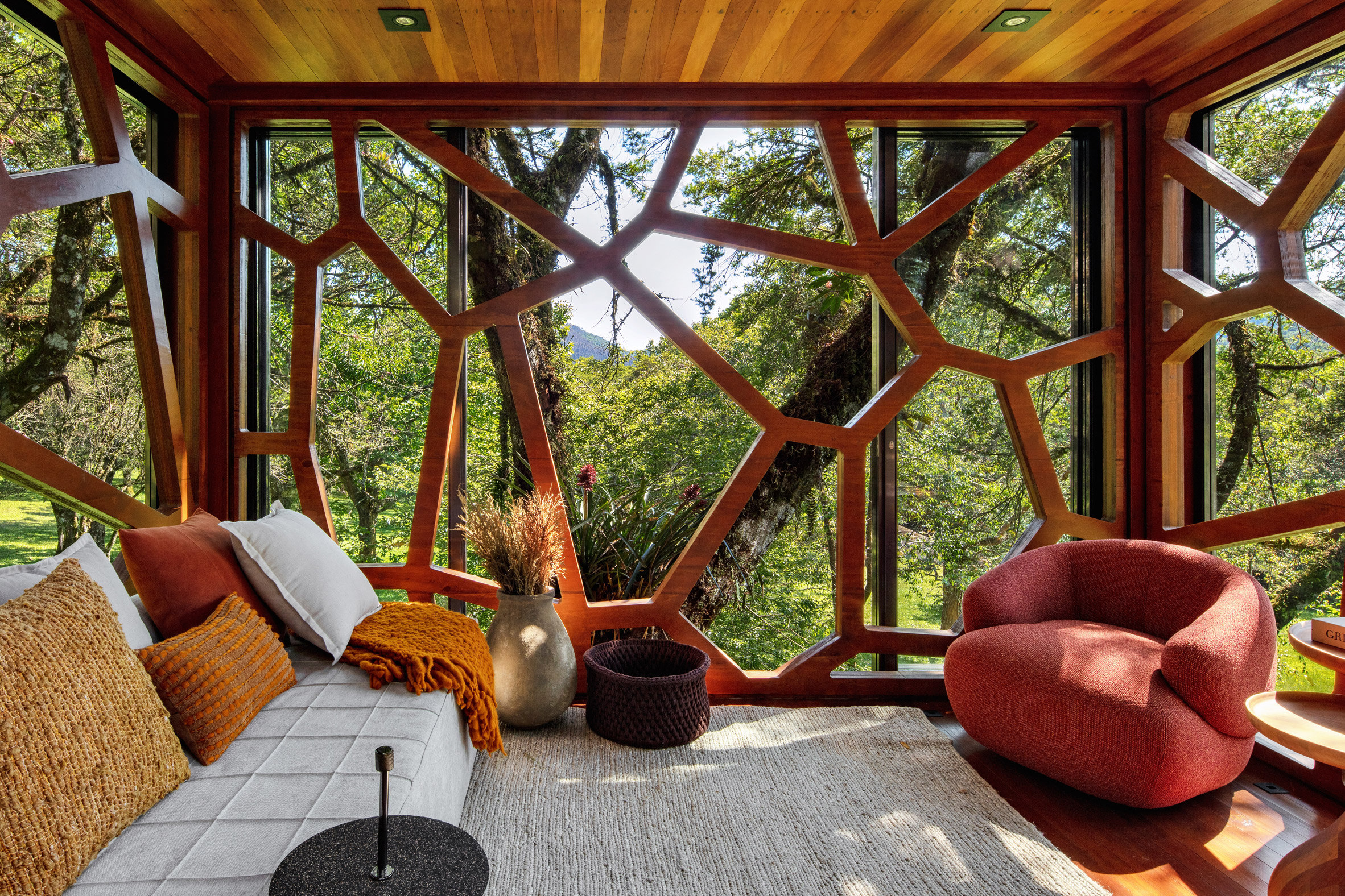 Living space within treehouse in Brazil