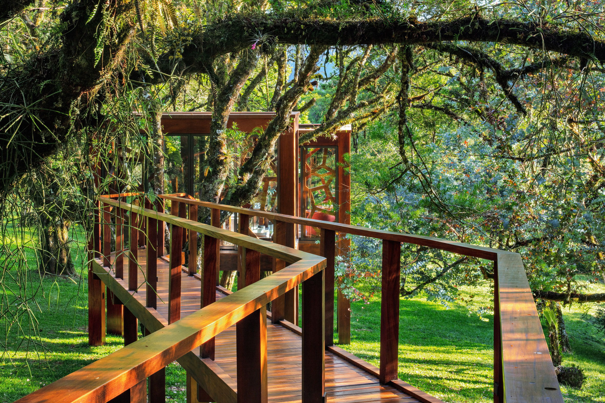 Elevated timber walkway connecting two treehouses in Brazil