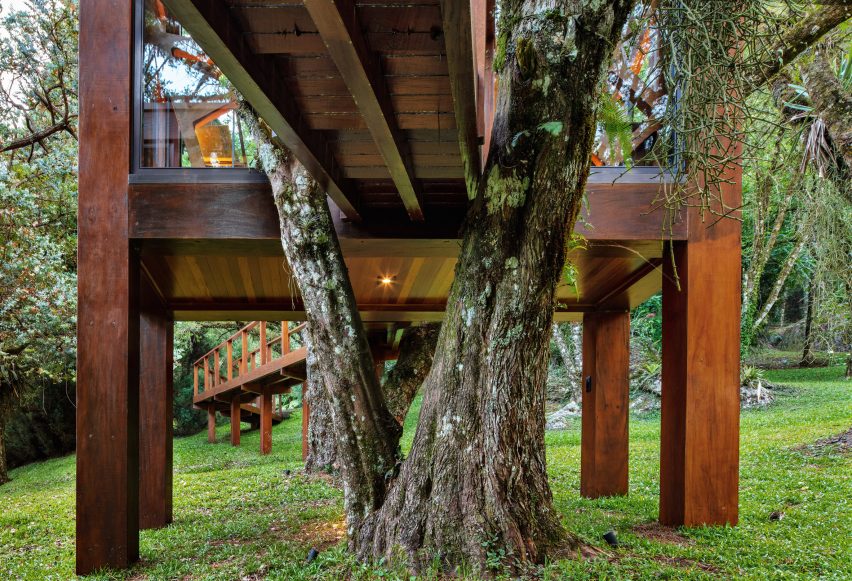 Treehouse nestled within tree by Studio MEMM