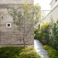 Concrete exterior wall of a home with a side path and green planting