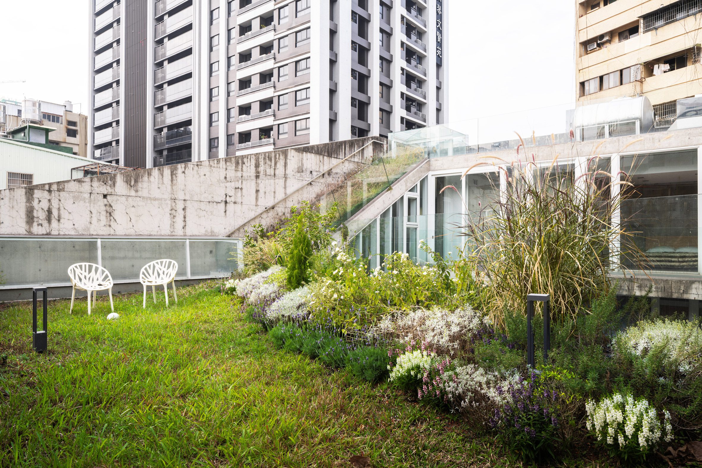 Green roof garden of a concrete home with a skyrise in the background