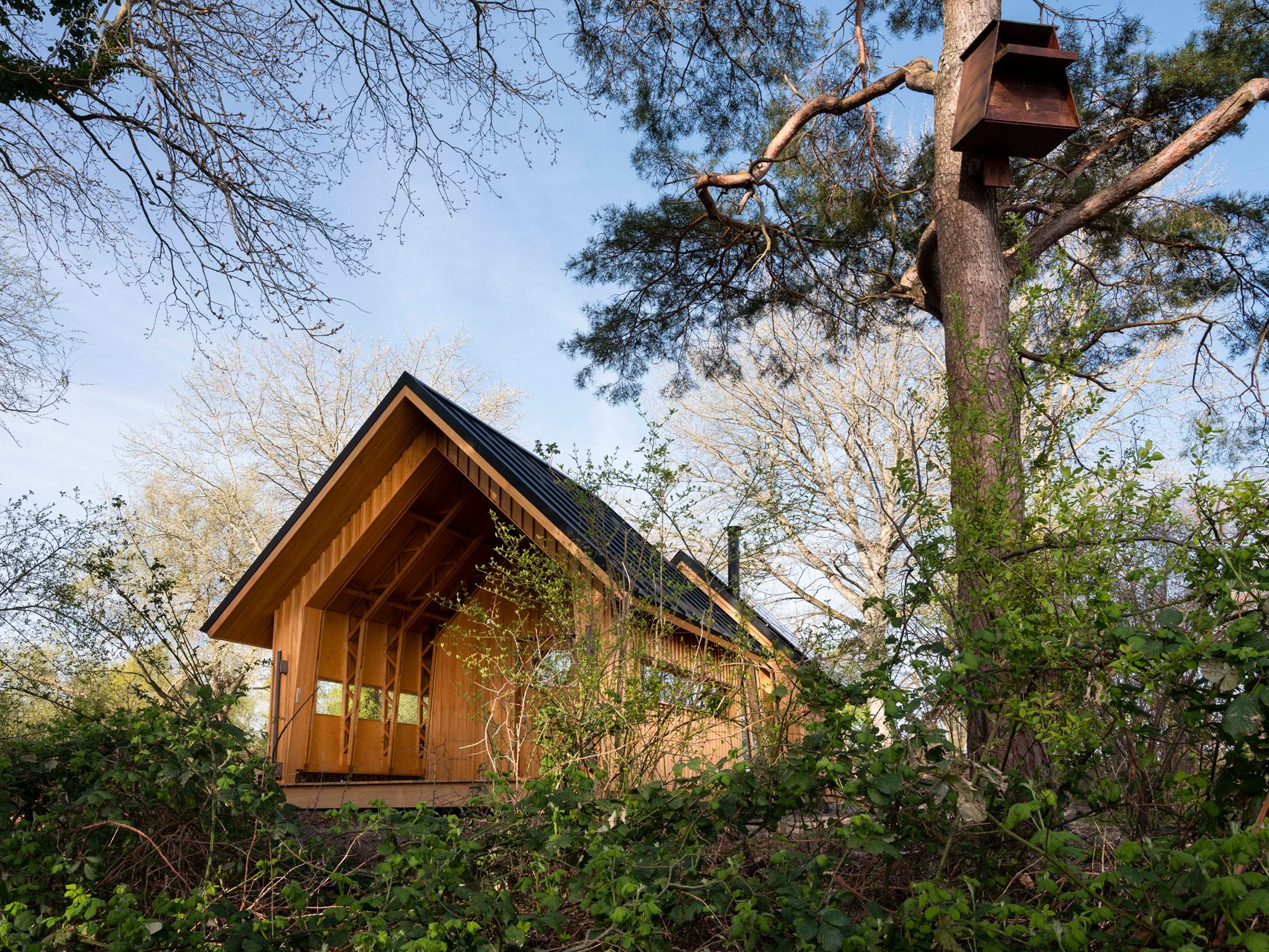 Wooden cabin at the De Biesbosch National Park