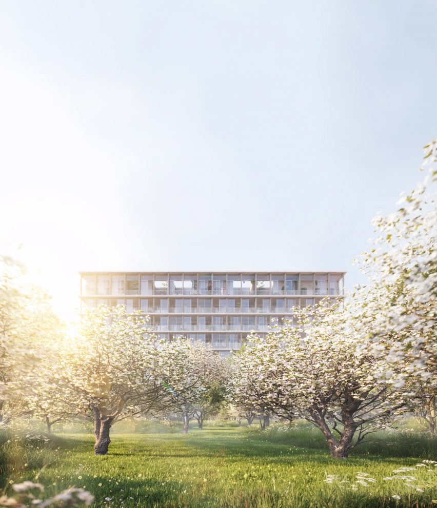 Render of Boomgaard by David Chipperfield Architects