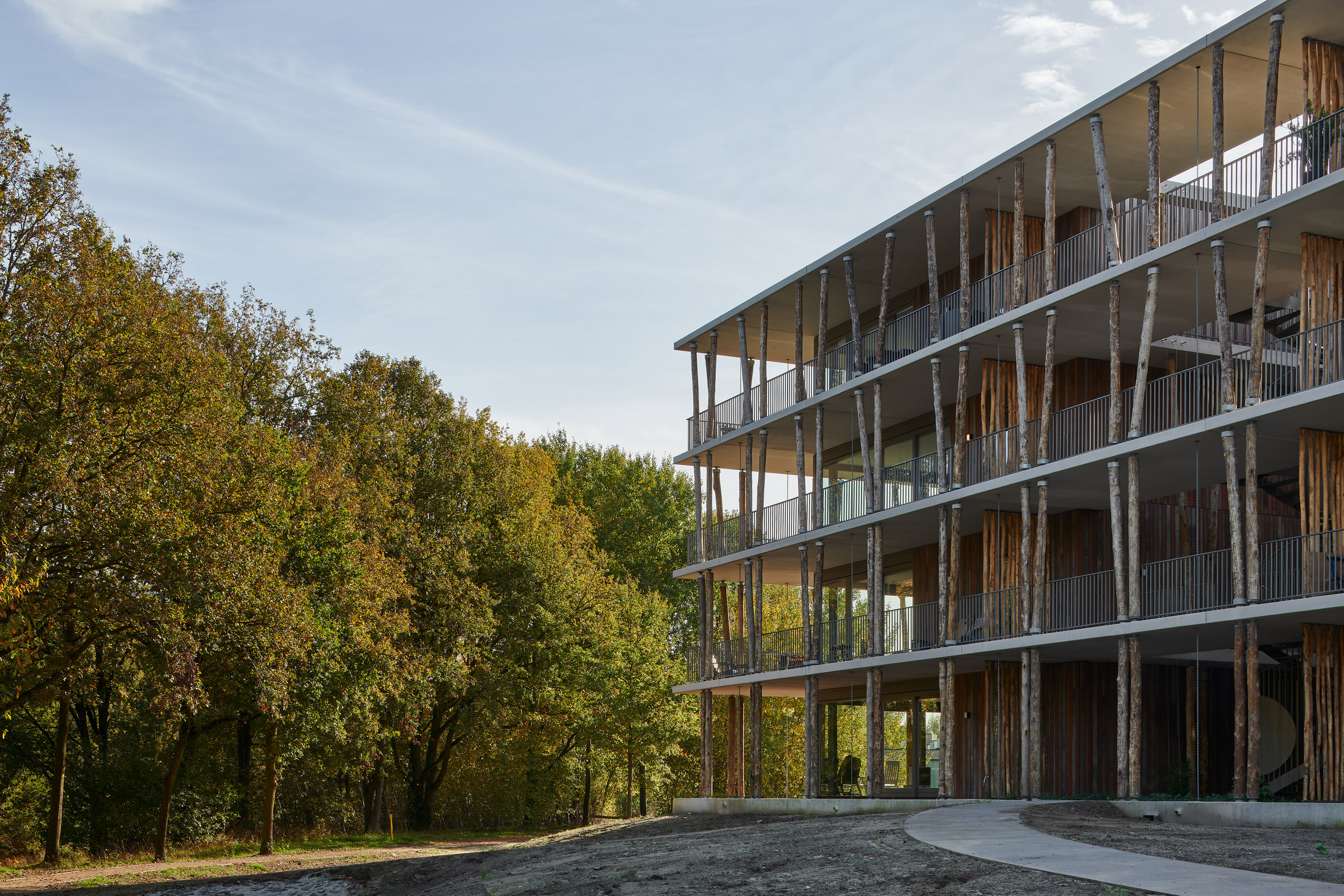 Housing in Eindhoven with tree-trunk columns