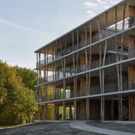 Tree trunks animate facade of demountable Forest Bath housing in Eindhoven