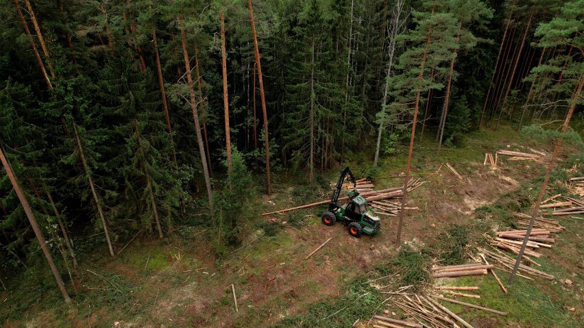 Image of a forest being logged by Maksim Safaniuk