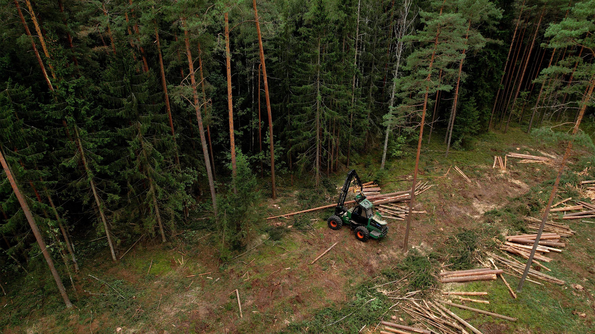 The hidden environmental impacts of getting mass timber wrong - Vimarsana News